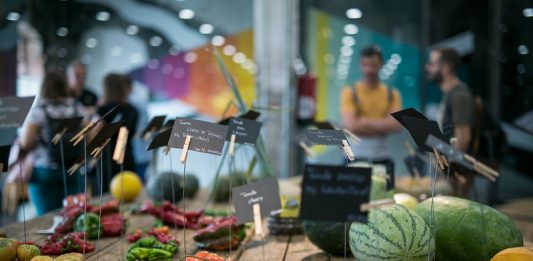 Matadero Madrid celebrará la primera edición del festival ‘Biophest’