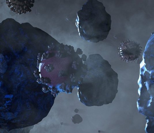 La Fundación Joan Miró (Barcelona) presenta nuevos talentos del videoarte asiático