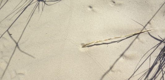 El Centro Cultural La Mercè (Girona) acoge la exposición de Marc Larré ‘Ménsula, columna, capitel’