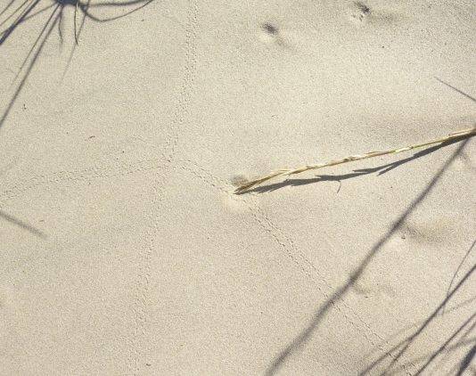 El Centro Cultural La Mercè (Girona) acoge la exposición de Marc Larré ‘Ménsula, columna, capitel’