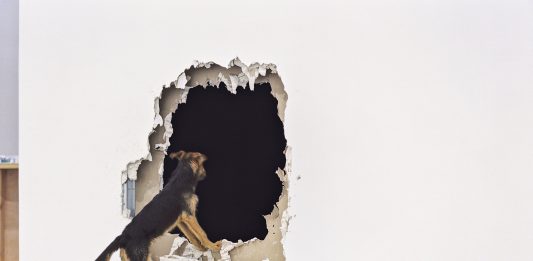 La Virreina Centre de la Imatge (Barcelona) inaugura cuatro exposiciones dedicadas a Odin Teatret, Cathy Berberian, Sara Gómez y Álvaro Perdices