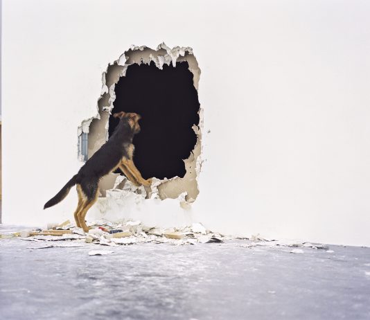 La Virreina Centre de la Imatge (Barcelona) inaugura cuatro exposiciones dedicadas a Odin Teatret, Cathy Berberian, Sara Gómez y Álvaro Perdices