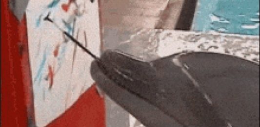 Abiertas las convocatorias de art.santcugat 2026