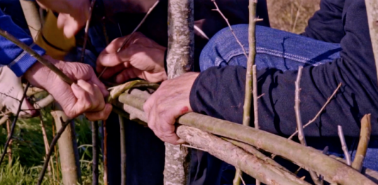 Concomitentes anuncia la segunda edición de ‘Mediation Academy’