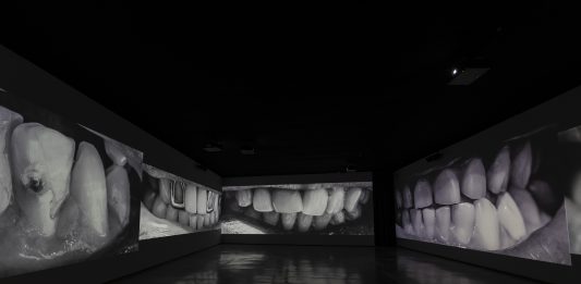 El Museo Helga de Alvear (Cáceres) inaugura una gran exposición individual de Santiago Sierra