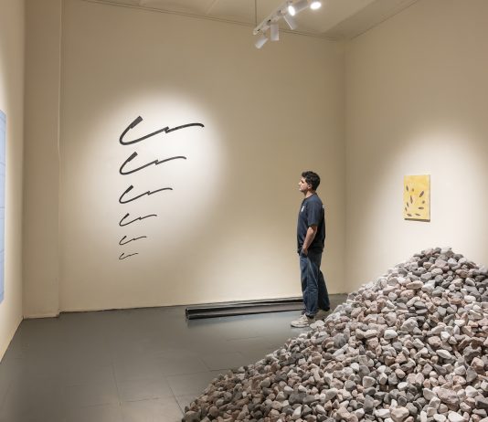 ‘Colección’