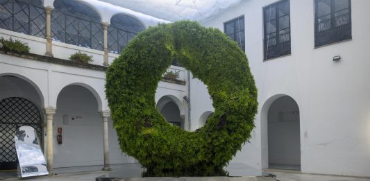 FLORA (Córdoba) abre convocatoria internacional para artistas emergentes con Patio Talento 2025