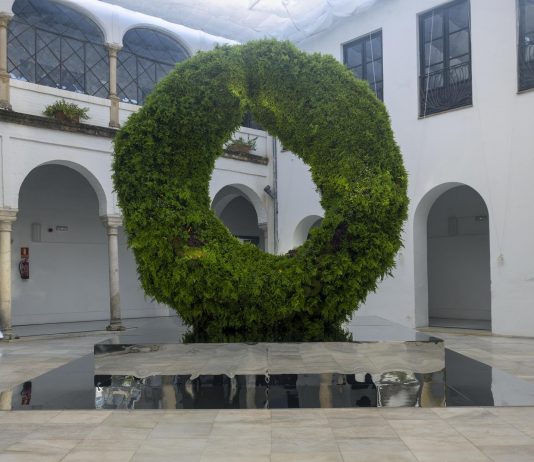 FLORA (Córdoba) abre convocatoria internacional para artistas emergentes con Patio Talento 2025