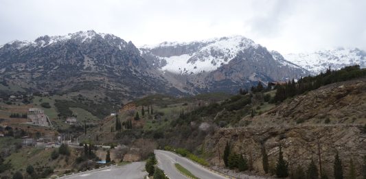 Foto Colectania (Barcelona) reflexiona sobre el papel de la fotografía en las culturas digitales