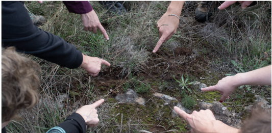 Concomitentes lanza Micelio