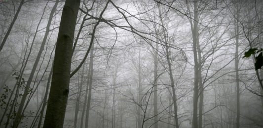 Max de Esteban: el arte como reflexión sobre el «régimen tecnológico»