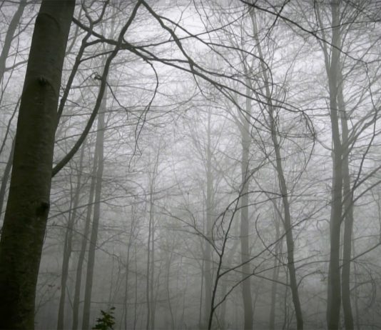 Max de Esteban: el arte como reflexión sobre el «régimen tecnológico»