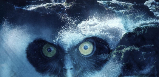 El MACBA (Barcelona) incorpora 285 nuevas obras a su colección coincidiendo con su 30 aniversario