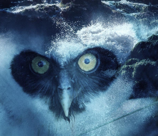 El MACBA (Barcelona) incorpora 285 nuevas obras a su colección coincidiendo con su 30 aniversario