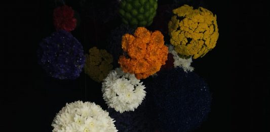 El artista español Ikefrana gana la convocatoria Patio Talento de FLORA 2025 (Córdoba)