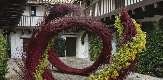 Festival FLORA 2025: el porvenir florece en Córdoba