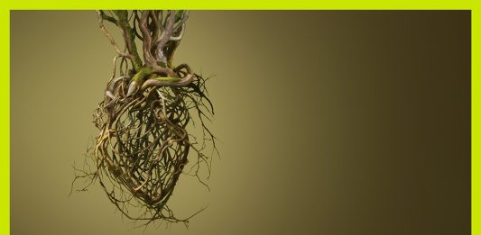 ‘Rodoreda, un bosque’: el territorio salvaje de la palabra en el CCCB (Barcelona)