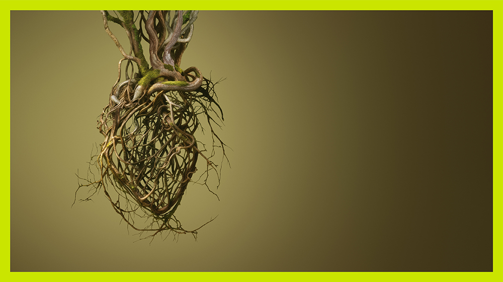 CCCB_RUB_BannerWeb02_1000x560_RGB