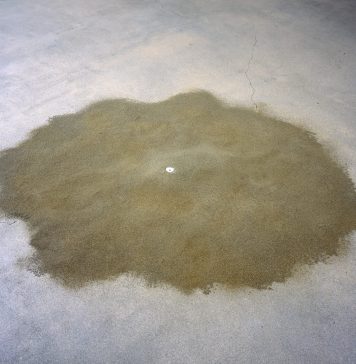 ‘Artes de la Tierra’ en el Museo Guggenheim Bilbao: una cartografía del presente ecológico