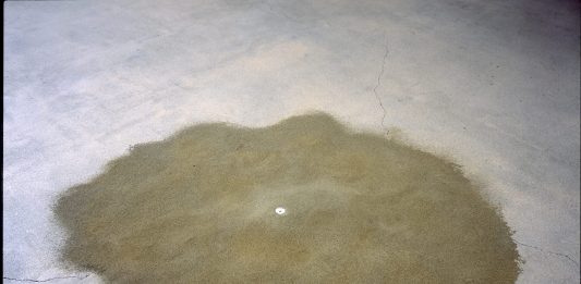 ‘Artes de la Tierra’ en el Museo Guggenheim Bilbao: una cartografía del presente ecológico