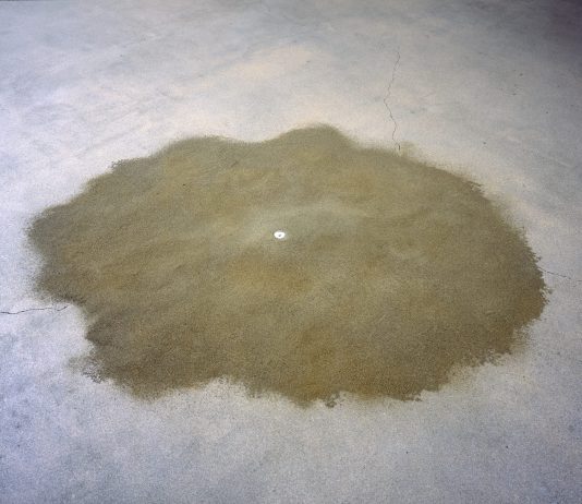 ‘Artes de la Tierra’ en el Museo Guggenheim Bilbao: una cartografía del presente ecológico