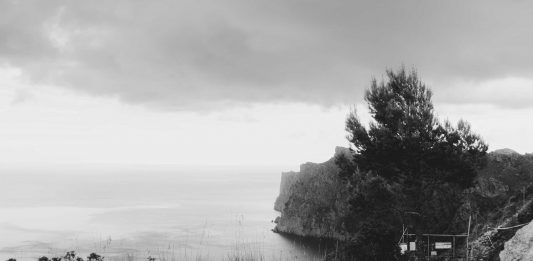 Habitar el futuro: arte y ciencia en el I Congreso Internacional de Biennal B