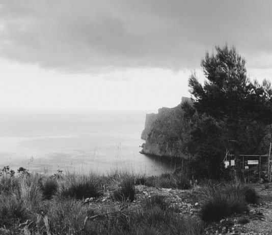 Habitar el futuro: arte y ciencia en el I Congreso Internacional de Biennal B