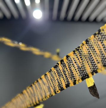 Isabel Servera en la Escola d’Art i Cultura de Tortosa