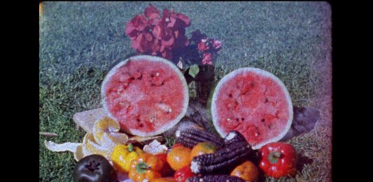 Mirar la imagen que mira: cine y autorrepresentación en Artium Museoa (Vitoria-Gasteiz)