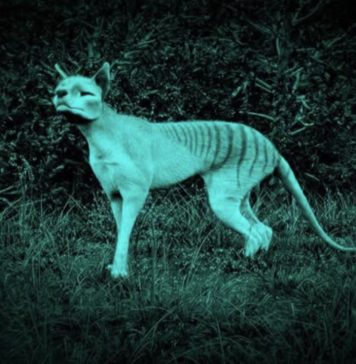 Mar Arza y Antoni Muntadas: artistas galardonadxs en los Premis Ciutat de Barcelona 2025