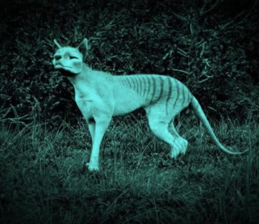 Mar Arza y Antoni Muntadas: artistas galardonadxs en los Premis Ciutat de Barcelona 2025