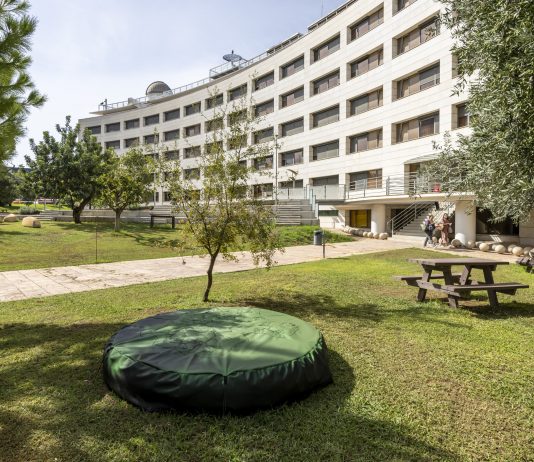 La Universitat de València convoca la XXIX Mostra art públic / universitat pública