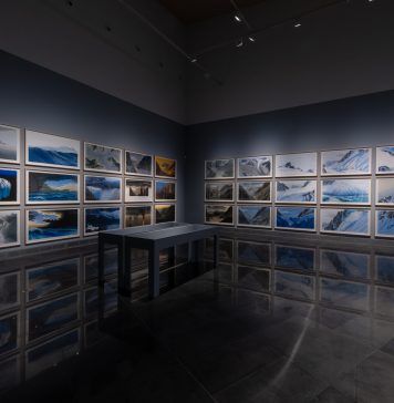 ‘Natura Fugit’ de Jesus Mari Lazkano en el Museo Universidad de Navarra (MUN)