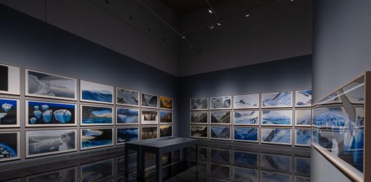 ‘Natura Fugit’ de Jesus Mari Lazkano en el Museo Universidad de Navarra (MUN)