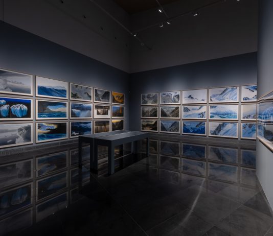 ‘Natura Fugit’ de Jesus Mari Lazkano en el Museo Universidad de Navarra (MUN)