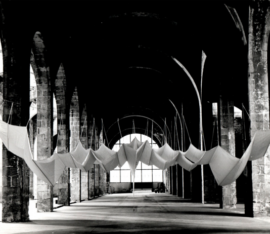 Aurèlia Muñoz – ‘Entes’