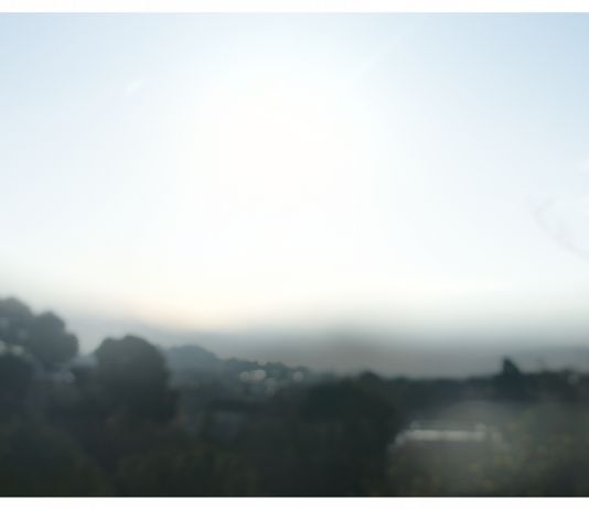 Laura Arensburg — ‘Deambula Malvidente’