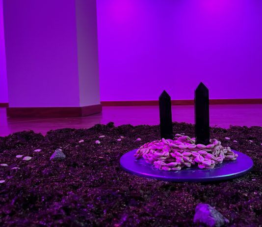 Paulo Arraiano — ‘ Unless the water is safer than the land’