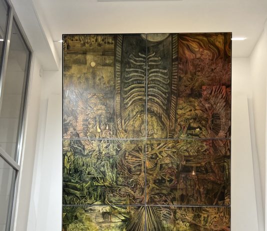 Matías Ercole — ‘Me olvidé de mis ojos’