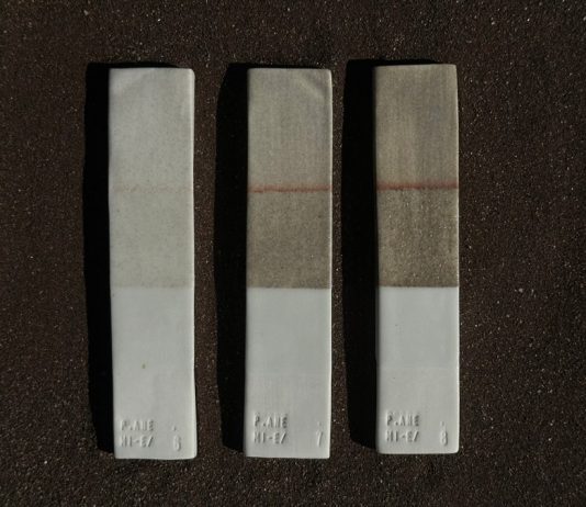 Carmen López Brío — ‘Minados’