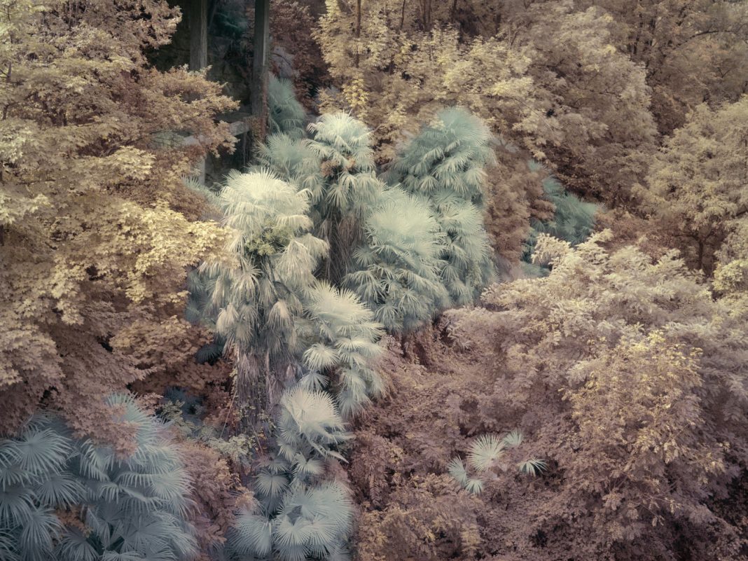 Yann Gross — ‘Drift’https://www.exibart.es/repository/media/2026/05/IMG_1826-1068x801.jpg