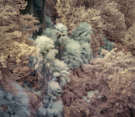 Yann Gross — ‘Drift’