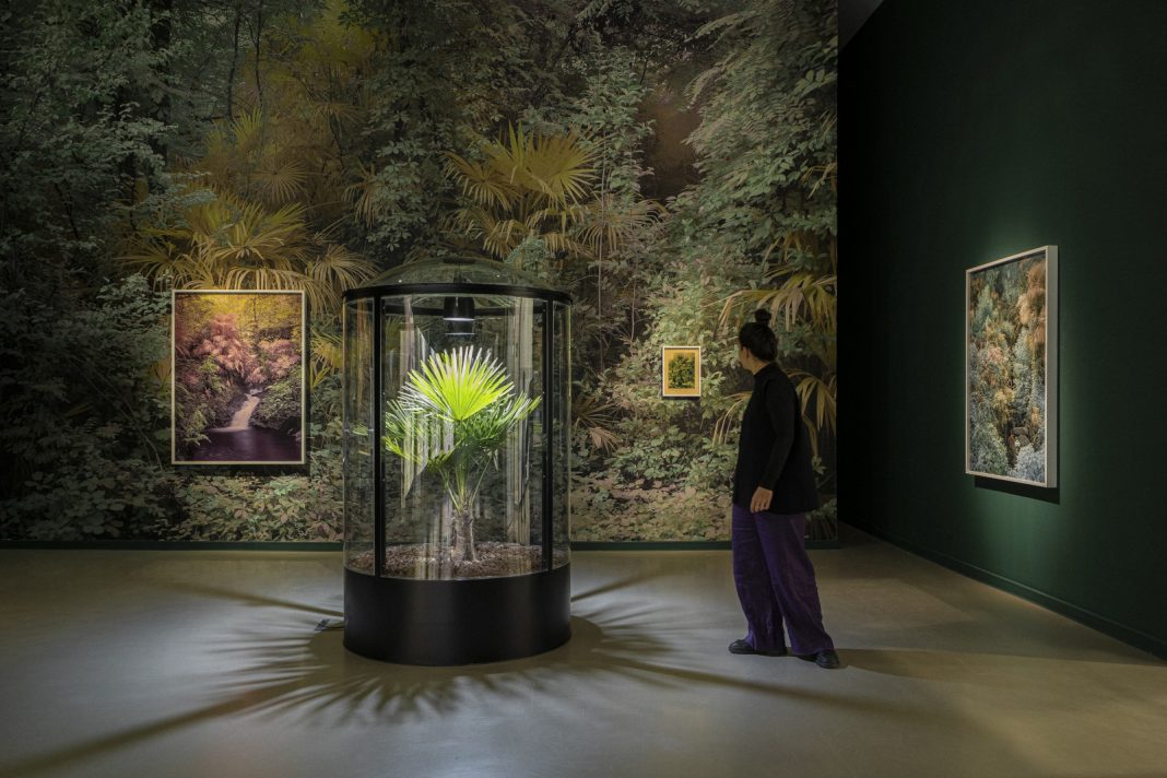 Yann Gross_La Casa Encendida