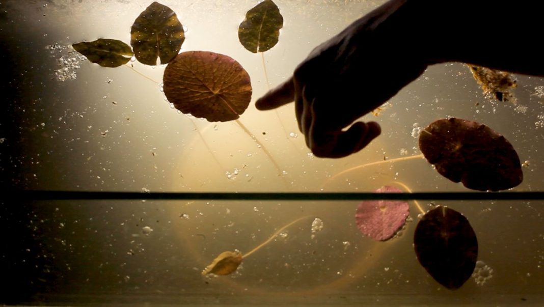 Candela Sotos — ‘Visiones contemporáneas’https://www.exibart.es/repository/media/2026/05/da2_expo_2025_candela_sotos_a_1-1068x603.jpg