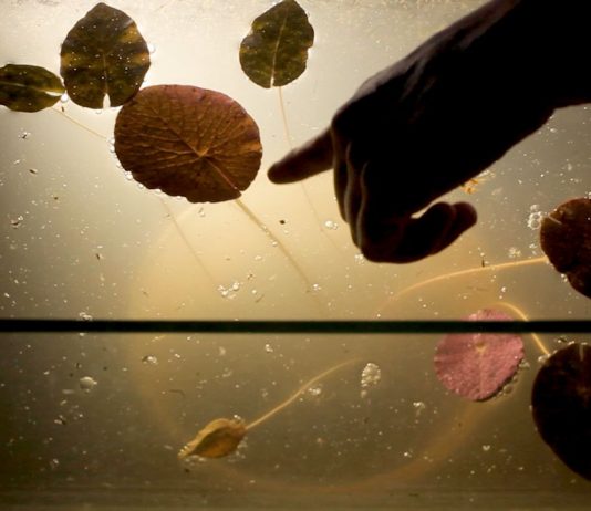 Candela Sotos — ‘Visiones contemporáneas’