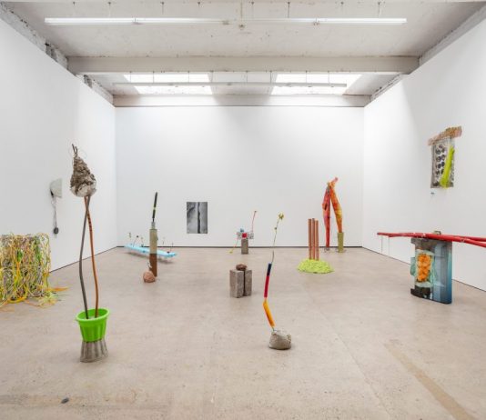Territorios en tránsito/Solo dúo: irene grau & Marco Giordano en el IVAM (Valencia)