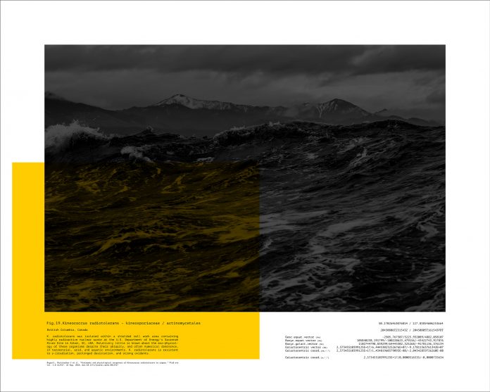 White Noise, 2020 © Max de Esteban
