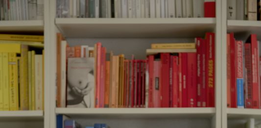 Bea Espejo dirigirá La Virreina Centre de la Imatge (Barcelona)