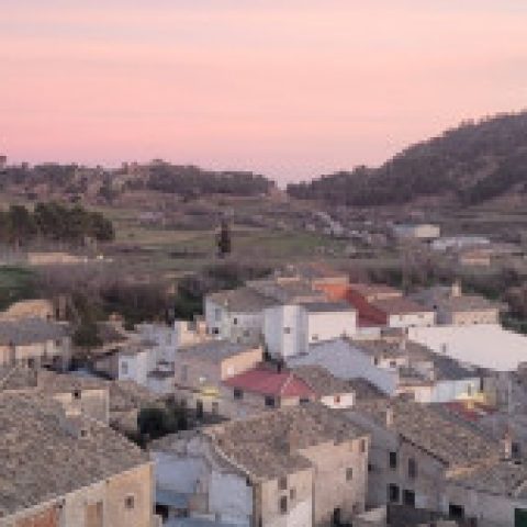 Imagen de perfil