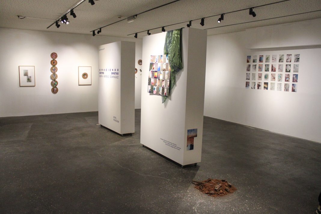 Sofía Moreno Domínguez – ‘Creciendo entre grietas’https://www.exibart.es/repository/media/formidable/11/img/214/sofia-moreno-dominguez-creciendo-entre-grietas-ccr-34-1068x712.jpg